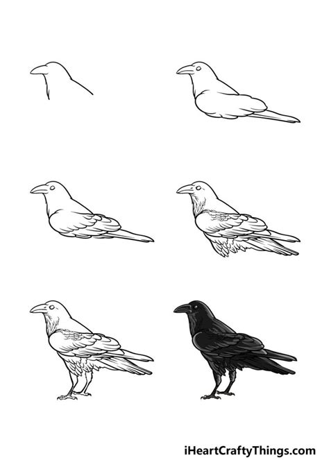 how to draw realistic birds step by step Google Search