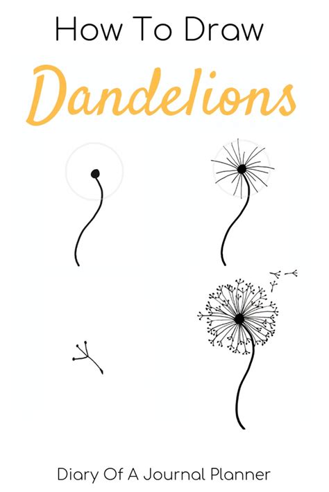 How to draw a dandelion Easy dandelion drawing step by