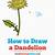 how to draw dandelion step by step
