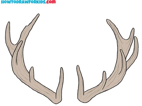 How to Draw Antler Laurels and Floral Laurel Wreaths in 4