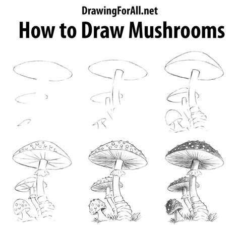 How to draw a mushroom for kids How to Draw for Kids