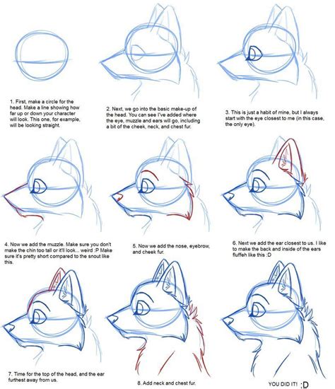 How to Draw Furries Step by Step Guide HowToWiki
