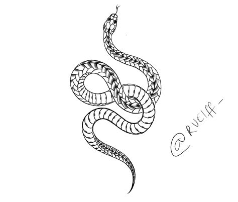 Pin on drawing snake study
