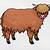 how to draw highland cow
