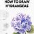 how to draw hydrangeas step by step