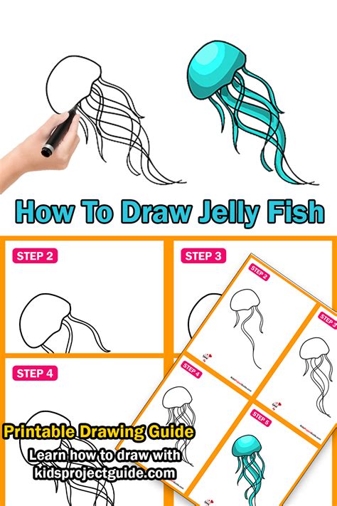 how to draw simple learn how to draw a jellyfish with