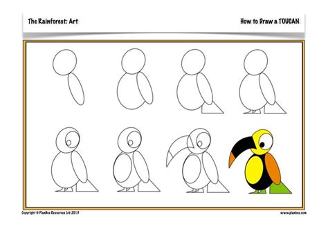 How to draw a toucan, stepbystep. (art, kids, drawing