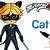 how to draw ladybug and cat noir step by step