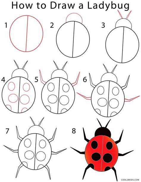Ladybug Drawing How To Draw A Ladybug Step By Step