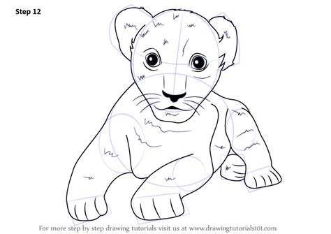Learn How to Draw a Lion Cub (Zoo Animals) Step by Step