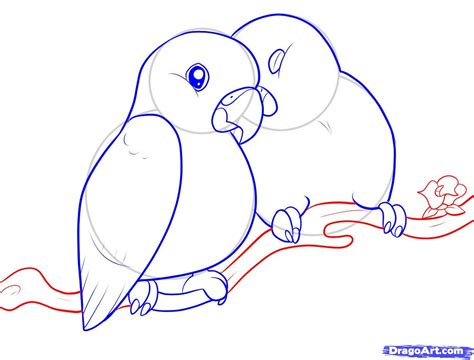 Step by Step How to Draw Love Birds