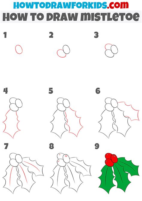 How to Draw Mistletoe Step by Step Easy Drawing Guides