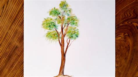 Drawing Trees How To Draw A Tree Step By Step Tree