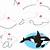 how to draw orca step by step
