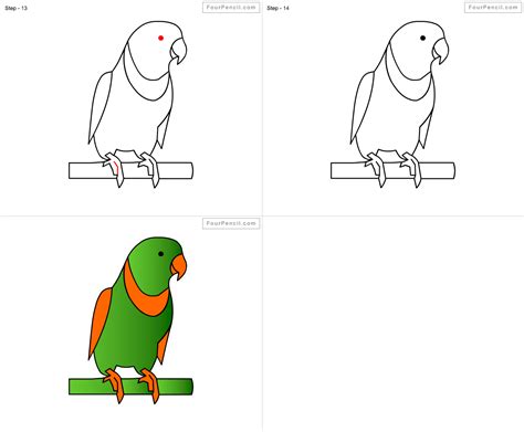 Fpencil How to draw Parrot for kids step by step