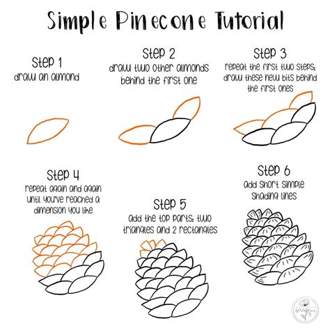 How to Draw a Pinecone 6 Steps (with Pictures) wikiHow