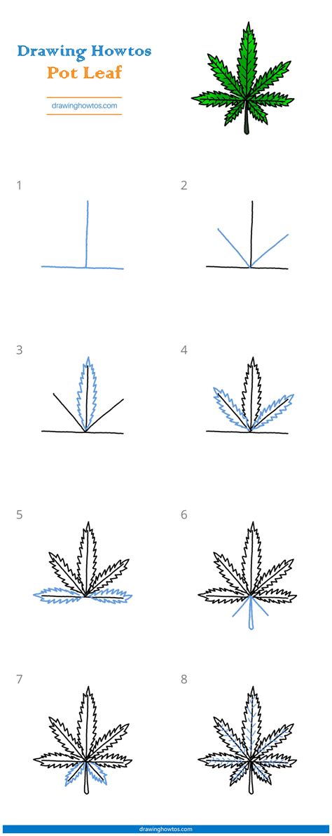 How to draw a potleaf Step by step Drawing tutorials