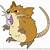 how to draw raticate