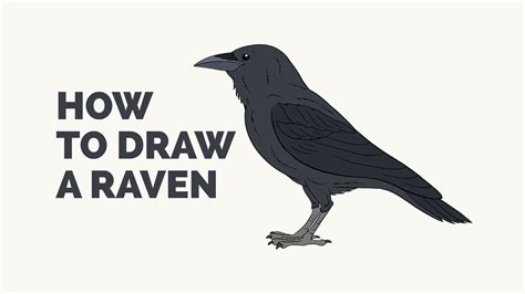 How to draw a raven step by step. Drawing tutorials for