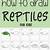 how to draw reptiles step by step