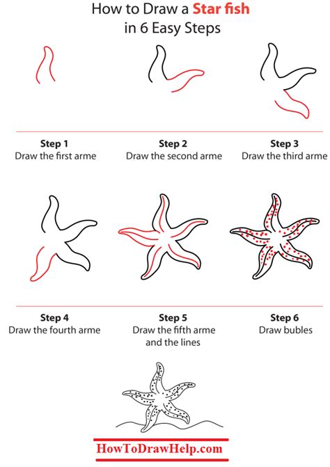 How to Draw Sea Creatures StepbyStep Instructions for