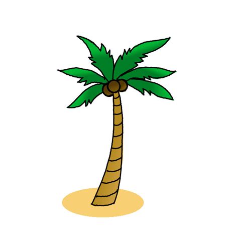 coconut tree pictures drawing 3D Drawing