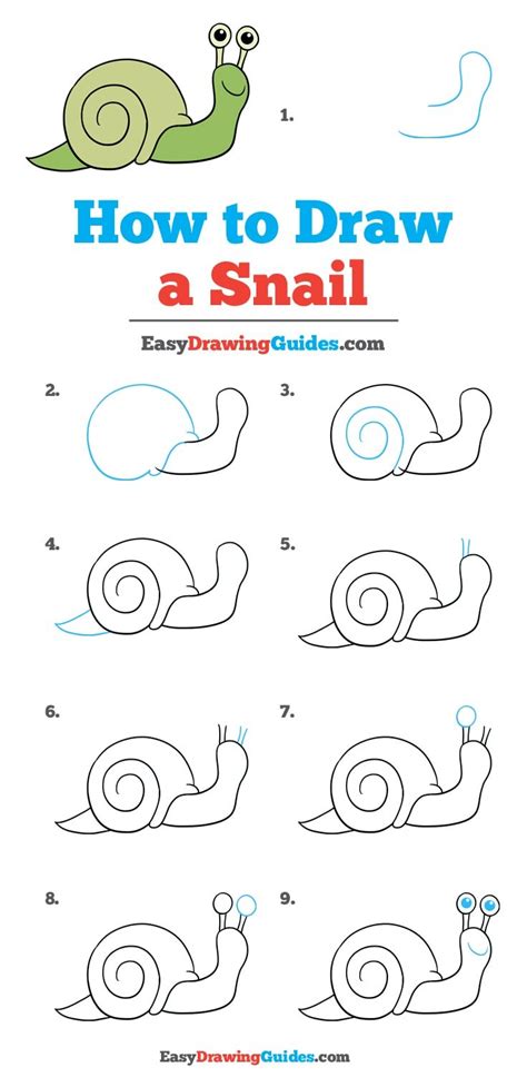 How to Draw a Snail Step By Step For Kids & Beginners