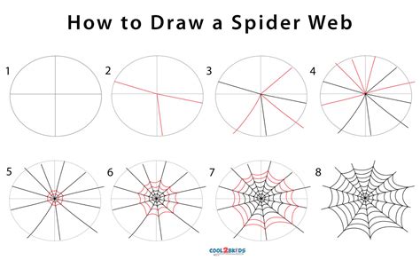 How to Draw a Spiderweb Step by Step Cobweb Drawing
