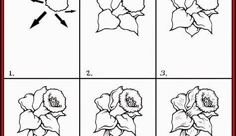 How To Draw Spring Flowers Step By Step Flower Easy Youtube