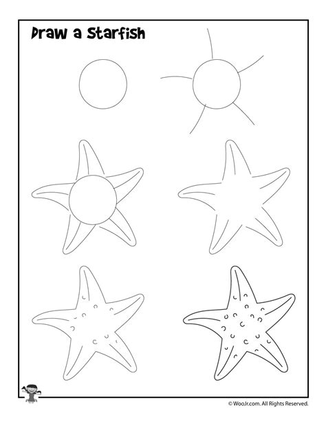 How to Draw a Starfish for Kids Step by step Drawings
