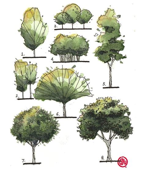 Set Of Architectural Hand Drawn Trees Vector