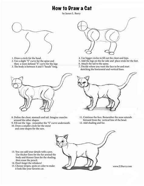 Step by Step Standing Cat Tutorial/Process of How I Draw