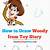 how to draw woody toy story step by step