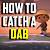 how to find a dab in animal crossing