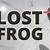 how to find a lost frog in your house - how to find