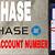 how to find chase bank account number online