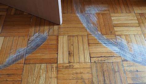 Cat Scratch Fever (How to Fix Scratches in Wood Floors) The Rozy Home