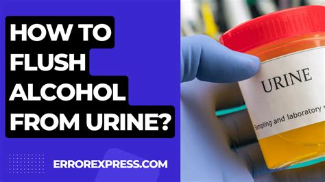 How Long Does Alcohol Stay In Your Urine? Addiction Resource
