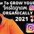 how to gain instagram followers organically 2021
