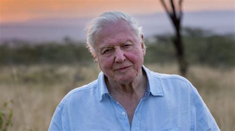 No, David Attenborough Has Not Joined IG To Get Fits Off
