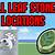 how to get a leaf stone in heartgold
