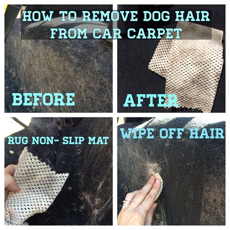 How To Get Dog Hair Out Of Auto Carpet
