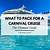 how to get free stuff on carnival cruise