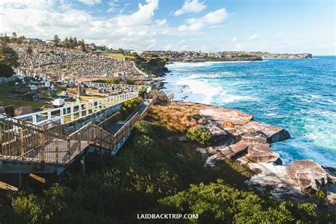 Bondi to Manly Walk Guide) Sydney Uncovered