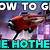 how to get hothead destiny 2 lightfall