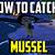 how to get mussel animal crossing