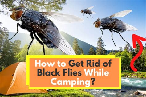 Blackfly Which? Gardening Helpdesk