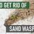 how to get rid of sand wasps