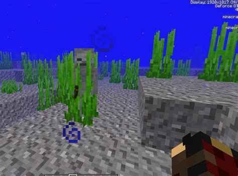 Minecraft V1.6 Update I Seaweed or Shrubs YouTube