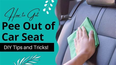 How To Get Urine Out Of Car Seat [Few Methods]